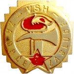 VM 2013